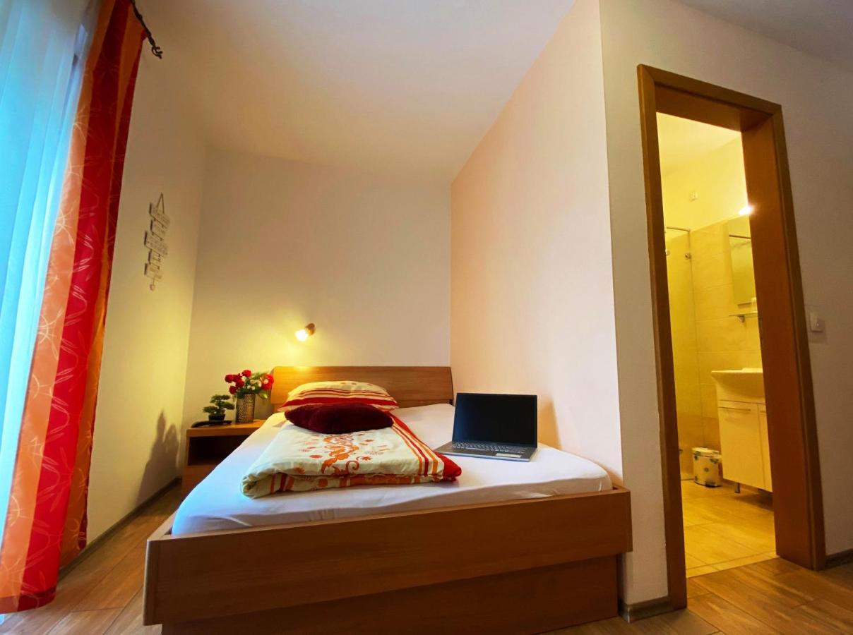 Guesthouse Mesec Zaplana Vrhnika Buitenkant foto