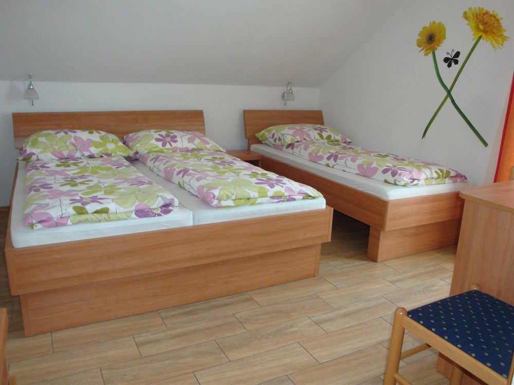 Guesthouse Mesec Zaplana Vrhnika Buitenkant foto